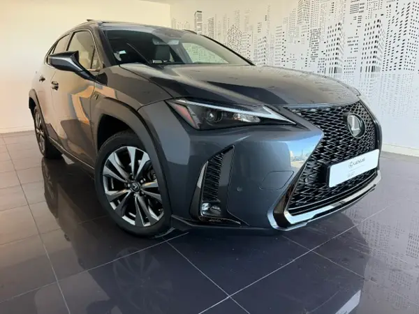 UX 250h
